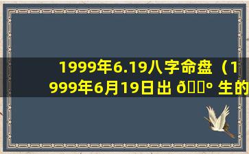 1999年6.19八字命盘（1999年6月19日出 🌺 生的人）